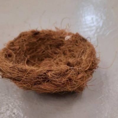 Rede indlæg i kokos trevler | Randers volieren