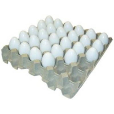 Æggebakke pap til 30 æg | Randers volieren