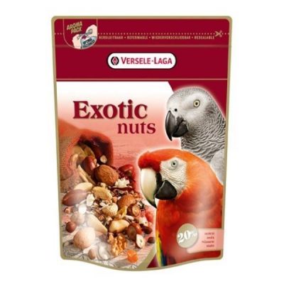 papegøje exotic nuts | Randers volieren