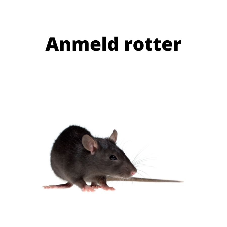 Anmeld Rotter |Randers Volieren