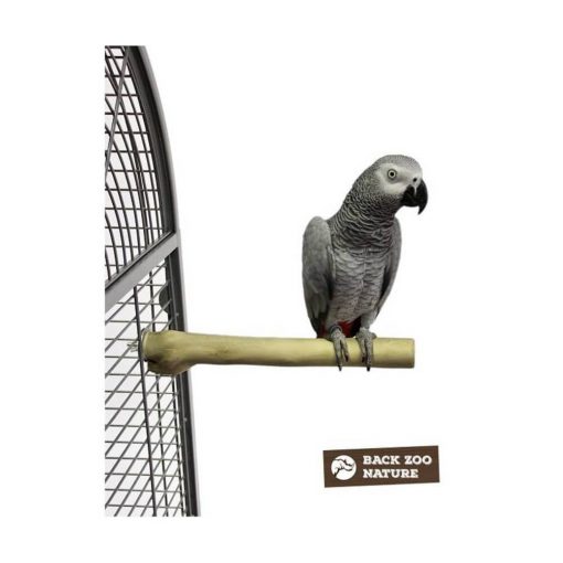 Zoo Nature Java Single Perch | Randers Volieren